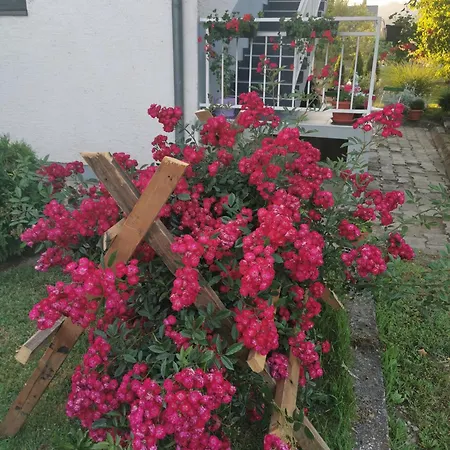 Holiday home Kuca